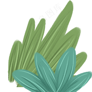 绿叶春季自然植物