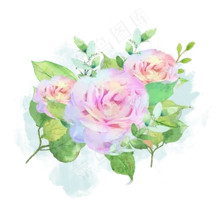 水彩鲜花清新玫瑰素材