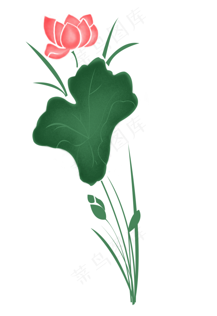 夏季荷花(950X1380(DPI:96))psd模版下载