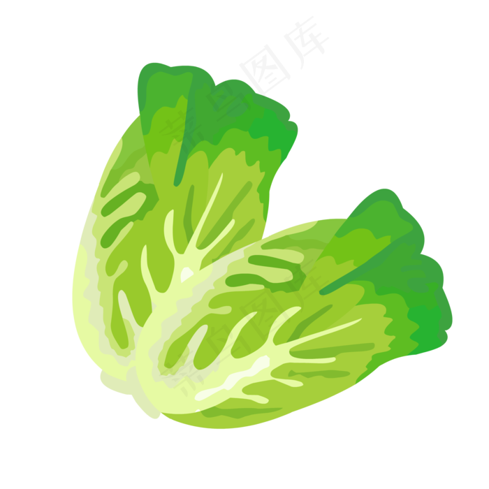 大白菜娃娃菜,免抠元素(2000*2000px 300 dpi )ai矢量模版下载