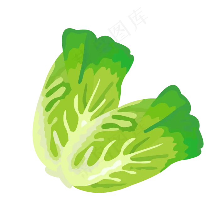 大白菜娃娃菜,免抠元素(2000*2000px 300 dpi )ai矢量模版下载