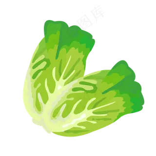 大白菜娃娃菜,免抠元素