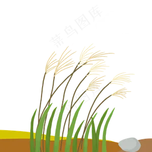 岸上的芦苇草丛和石头PNG