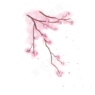 卡通手绘中国风梧桐花