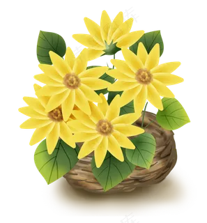 向日葵花篮