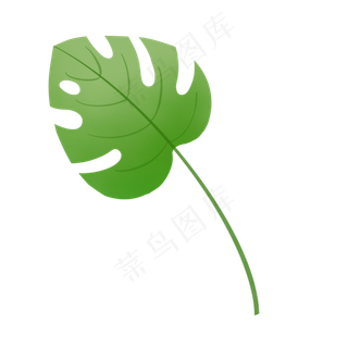 手绘小清新绿植单枝龟背叶,免抠元素