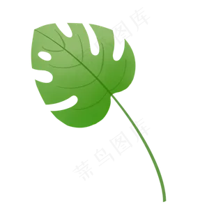 手绘小清新绿植单枝龟背叶,免抠元素