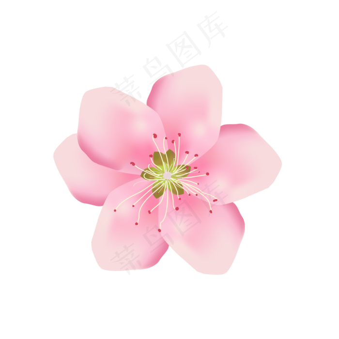手绘美丽清新桃花可商用元素,免抠元素(1024*1369px)ai矢量模版下载