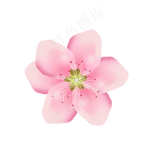 手绘美丽清新桃花可商用元素,免抠元素