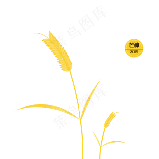 芒种节气二十四节气