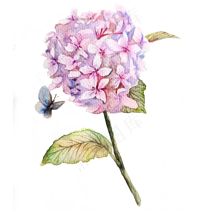 紫红绣球花*花蝴蝶装饰花团P