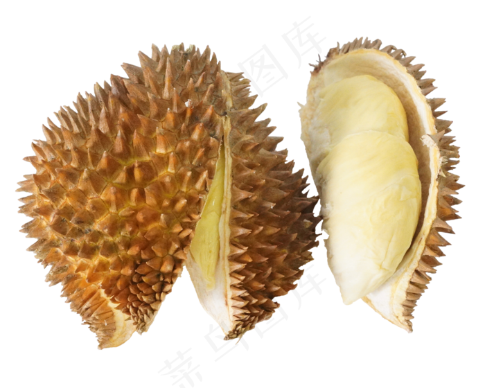 榴莲水果食物