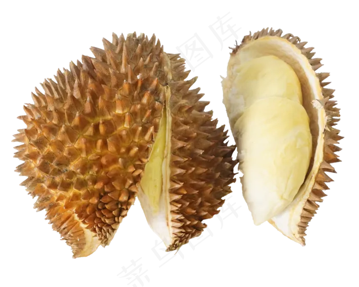 榴莲水果食物(2000X2000(DPI:100))psd模版下载