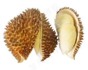榴莲水果食物