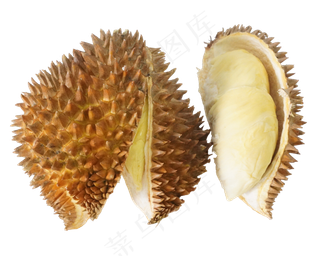 榴莲水果食物