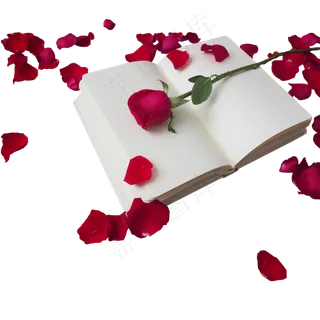 笔记本上的玫瑰花