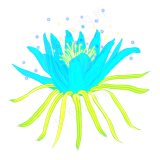 光感彩色荧光唯美霸王花,免抠元素