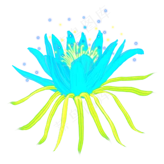 光感彩色荧光唯美霸王花,免抠元素