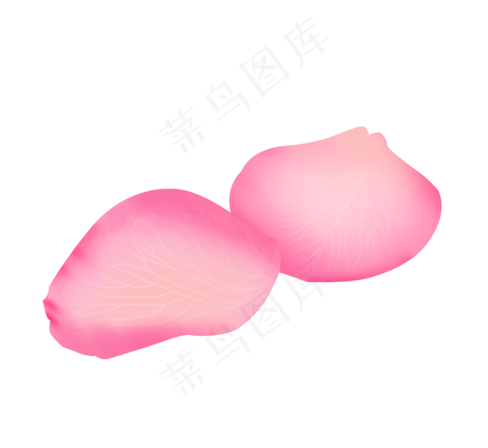 春天粉色玫瑰花瓣png