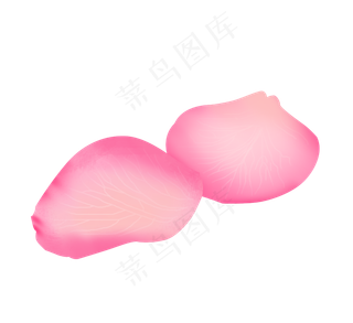 春天粉色玫瑰花瓣png