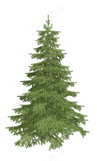 仿真树木高大松树,免抠元素