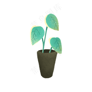 绿色的植物盆栽