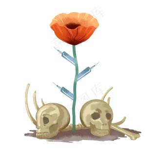 罂粟花毒品骷髅头,免抠元素
