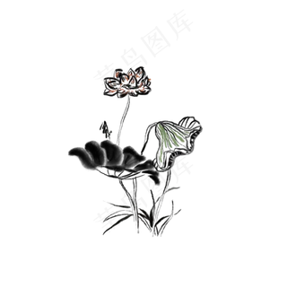 荷花水墨插图装饰