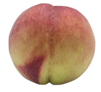 夏季新鲜桃子 夏季新鲜桃子