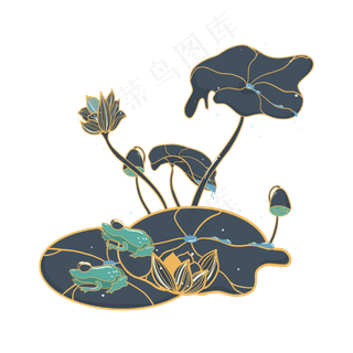 荷花荷叶莲花夏天青蛙