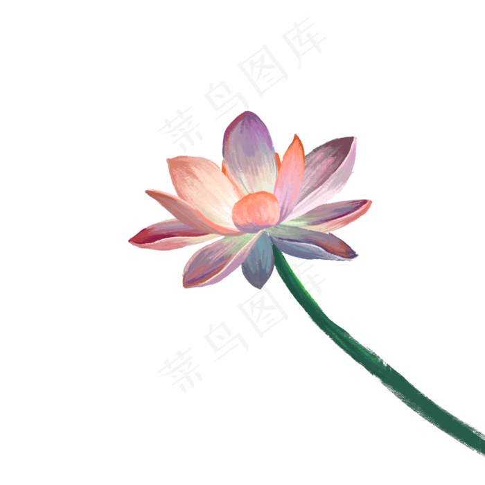 夏日风景池塘荷花(1000X1000(DPI:300))psd模版下载