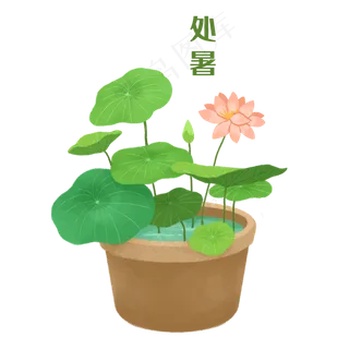 处暑节气夏天荷花