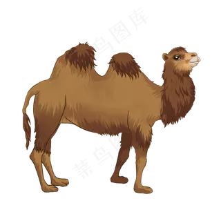 沙漠棕色骆驼,免抠元素