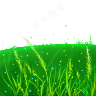 草地绿色植物小草