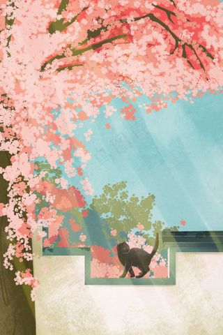 浪漫樱花花海风景