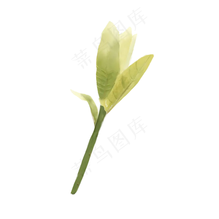 小清新水彩春天植物嫩芽新枝