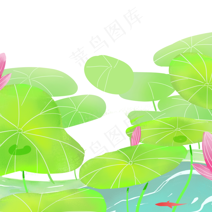 夏天美丽的荷花荷叶