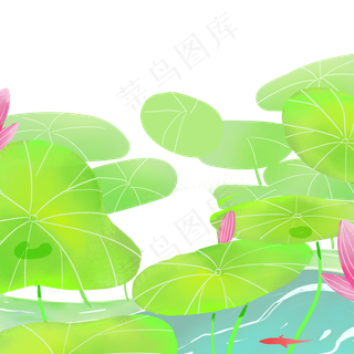 夏天美丽的荷花荷叶