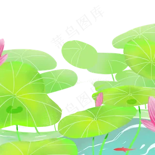 夏天美丽的荷花荷叶