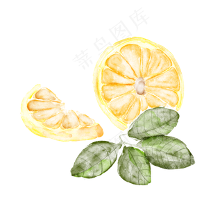 手绘水彩带叶子的橙子