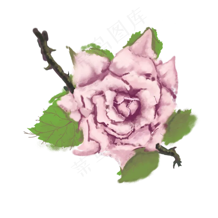 一紫色的玫瑰花免抠图(2000X2000(DPI:300))psd模版下载