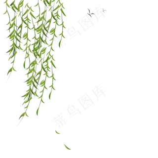 清明节风吹柳树漂浮柳叶,免抠元素