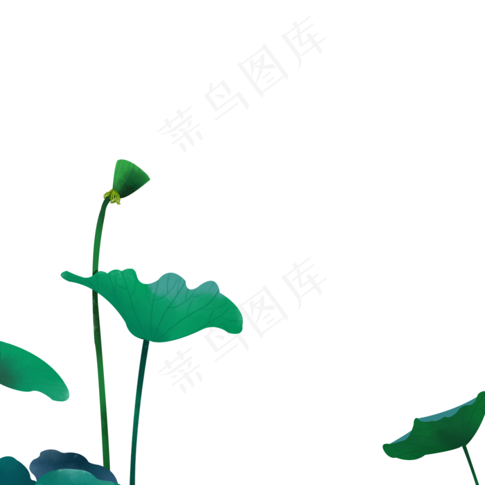 莲蓬荷叶素材免抠下载(2000X2000(DPI:300))psd模版下载