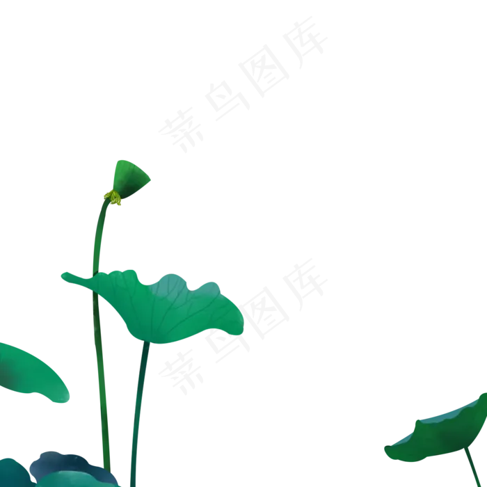 莲蓬荷叶素材免抠下载(2000X2000(DPI:300))psd模版下载