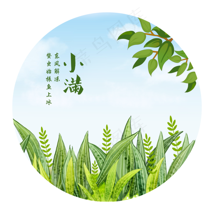 手绘小满稻穗元素