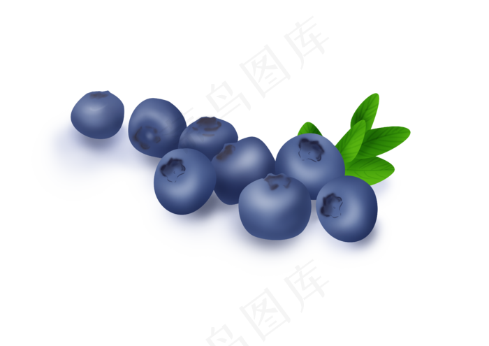 暑假夏季蓝莓水果(4961X3508(DPI:300))psd模版下载