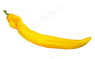 黄色小米椒食材