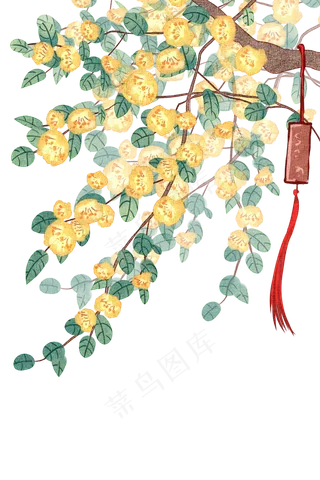 黄色古风花迎春花