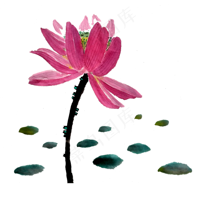 水墨荷花莲花PNG国画桃色