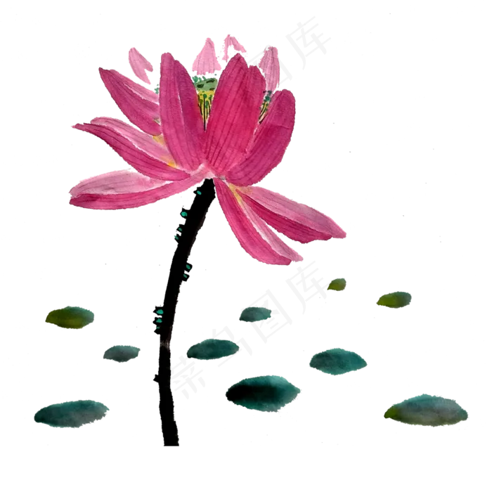 水墨荷花莲花PNG国画桃色